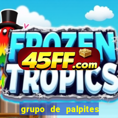 grupo de palpites de futebol telegram